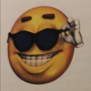 Meet your Posher, Theo